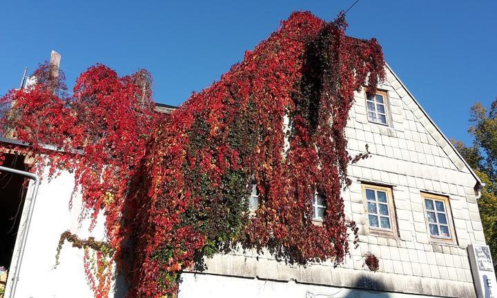 Restaurant Eigen-ARTig